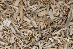biomass boilers Leagreen