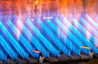 Leagreen gas fired boilers